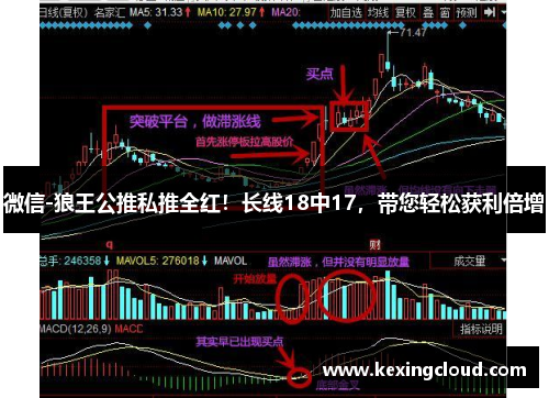 微信-狼王公推私推全红！长线18中17，带您轻松获利倍增